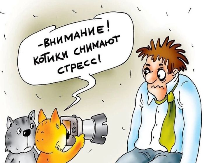 Как снять стресс, это ваше здоровье