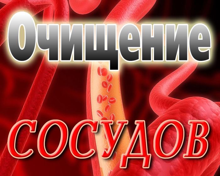 Очищение сосудов, советы от народной медицины